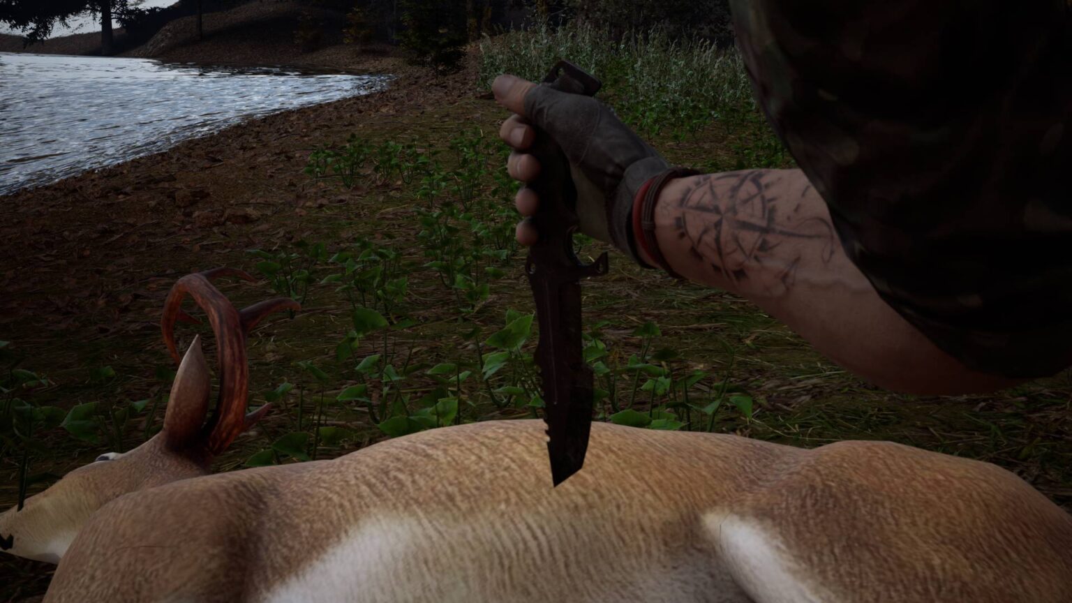 compressed_DeadDeerSQ.0002