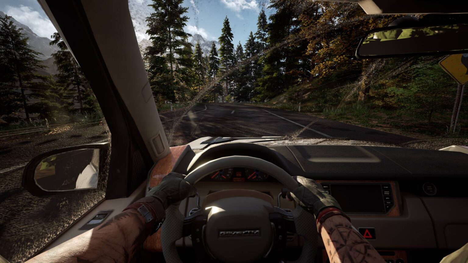 compressed_In_car.0000